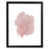 black framed red sea fan portrait frame